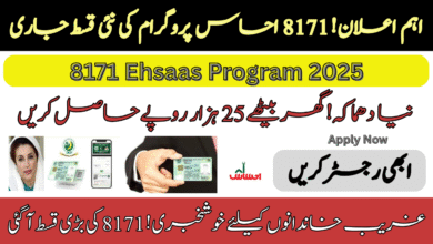 8171 Ehsaas Program 2025