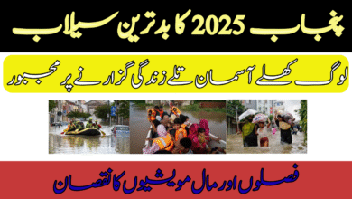 Punjab Floods 2025